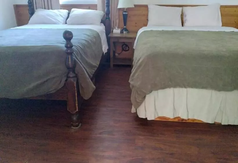 Dolphin Motel