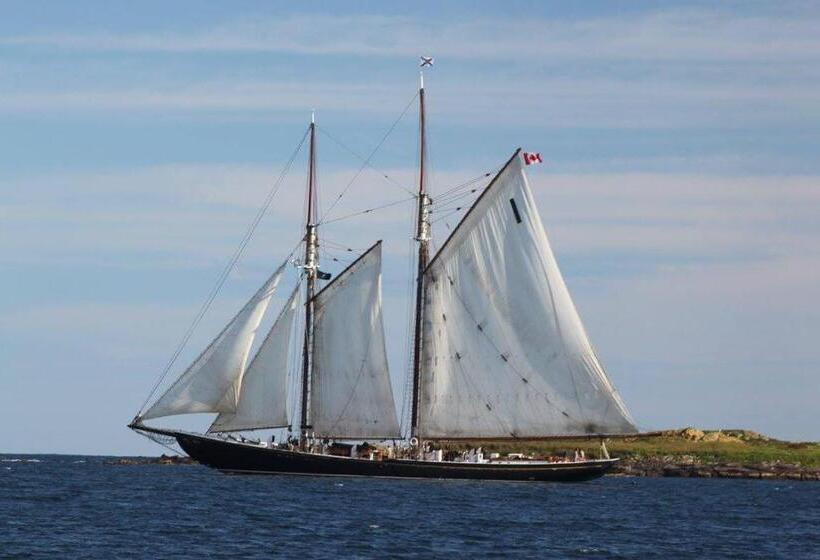 ホテル North Star Beach Suites