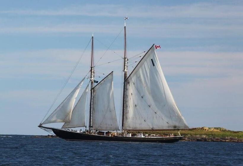 ホテル North Star Beach Suites