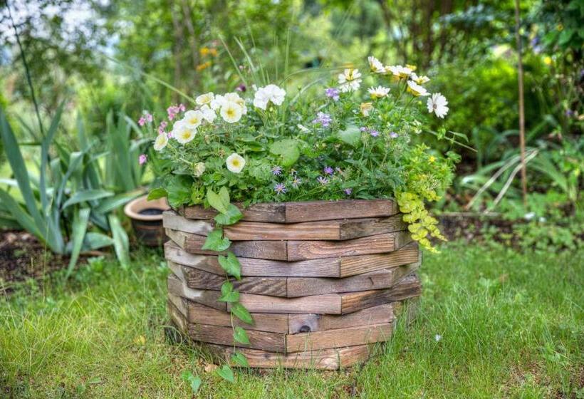 Hummingbird Bed And Breakfast