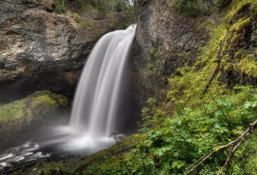 Hummingbird Bed And Breakfast