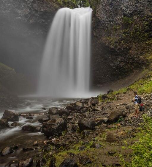 Hummingbird Bed And Breakfast