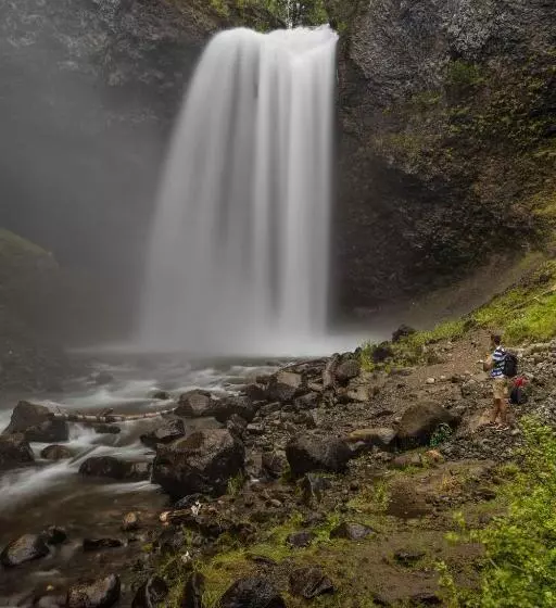 Hummingbird Bed And Breakfast