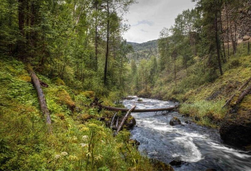 Hummingbird Bed And Breakfast