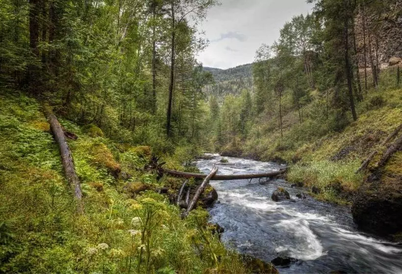 Hummingbird Bed And Breakfast