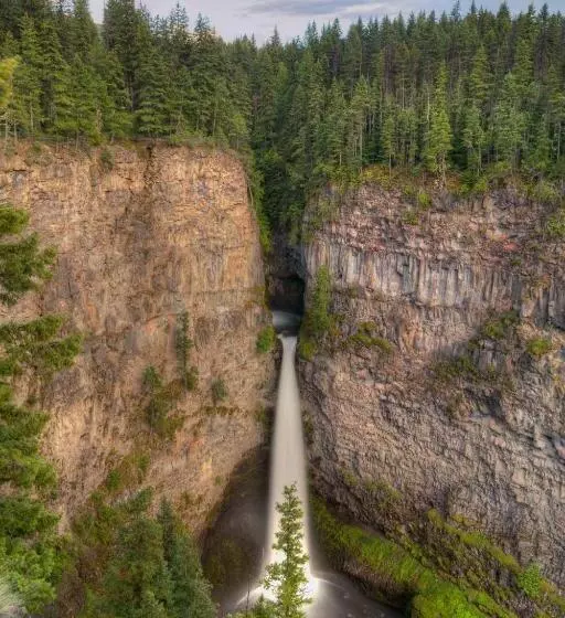 Hummingbird Bed And Breakfast