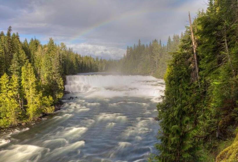 Hummingbird Bed And Breakfast