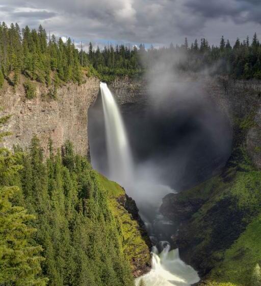 Hummingbird Bed And Breakfast