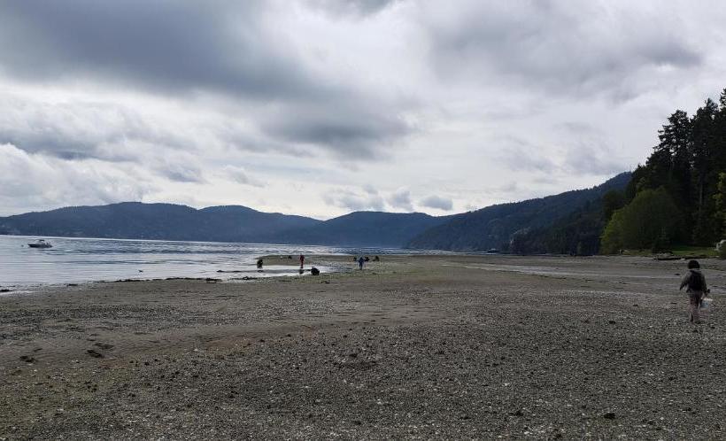 Malahat Bungalows Motel