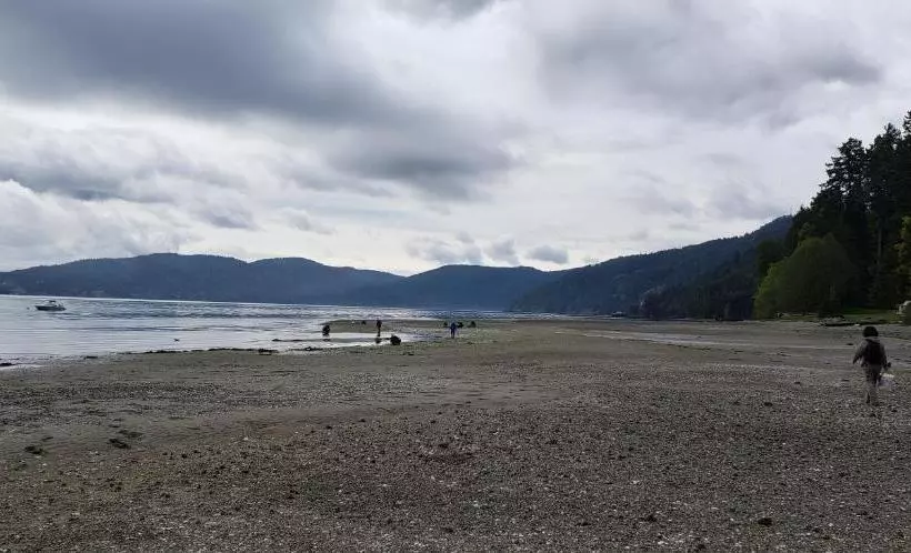 Malahat Bungalows Motel