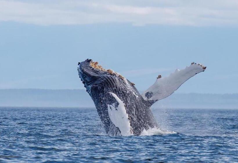 Money Pennies Bed And Breakfast