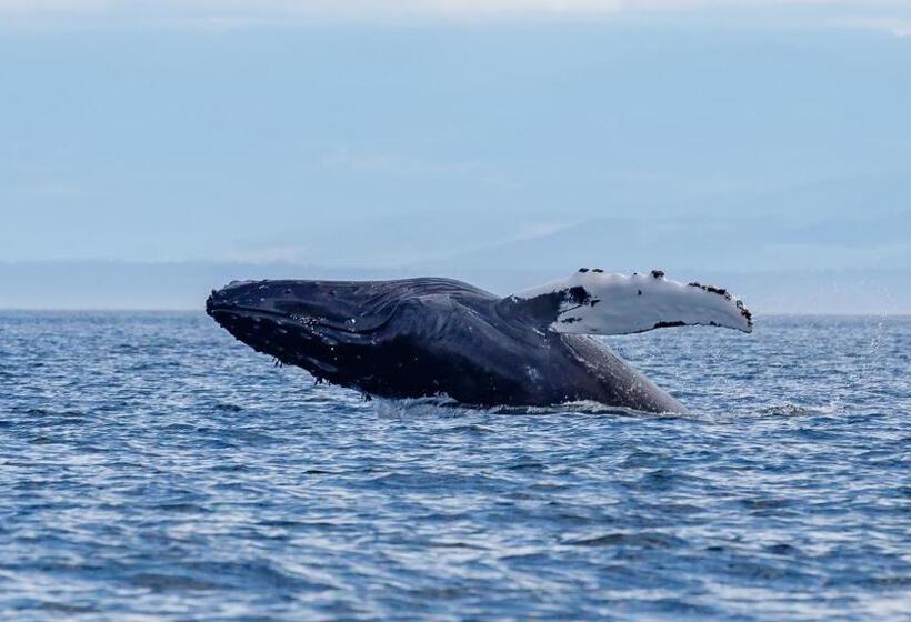 Money Pennies Bed And Breakfast