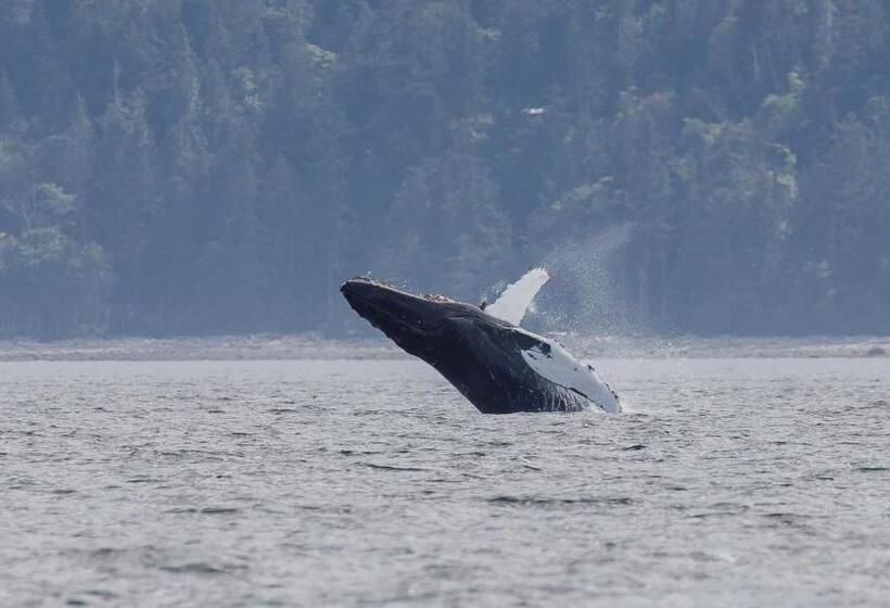 Money Pennies Bed And Breakfast