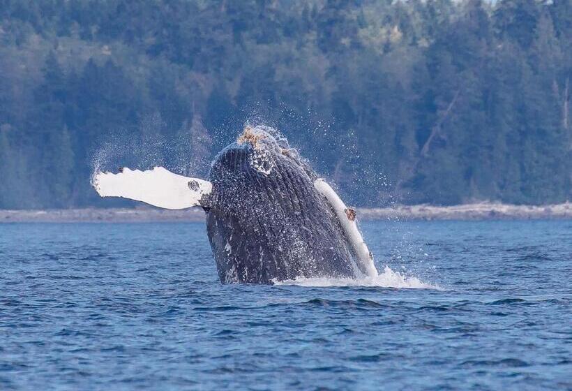 Money Pennies Bed And Breakfast