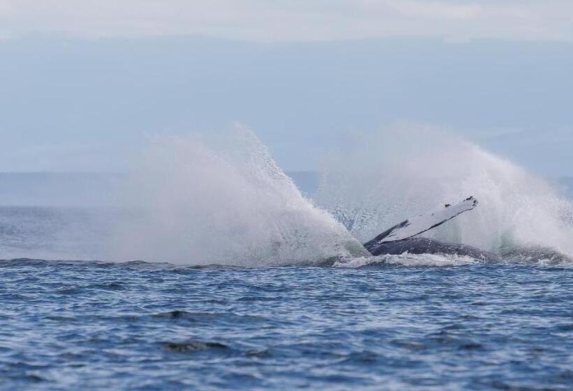 Money Pennies Bed And Breakfast