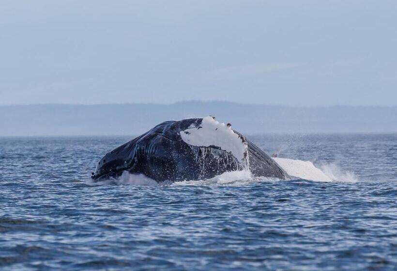 Money Pennies Bed And Breakfast