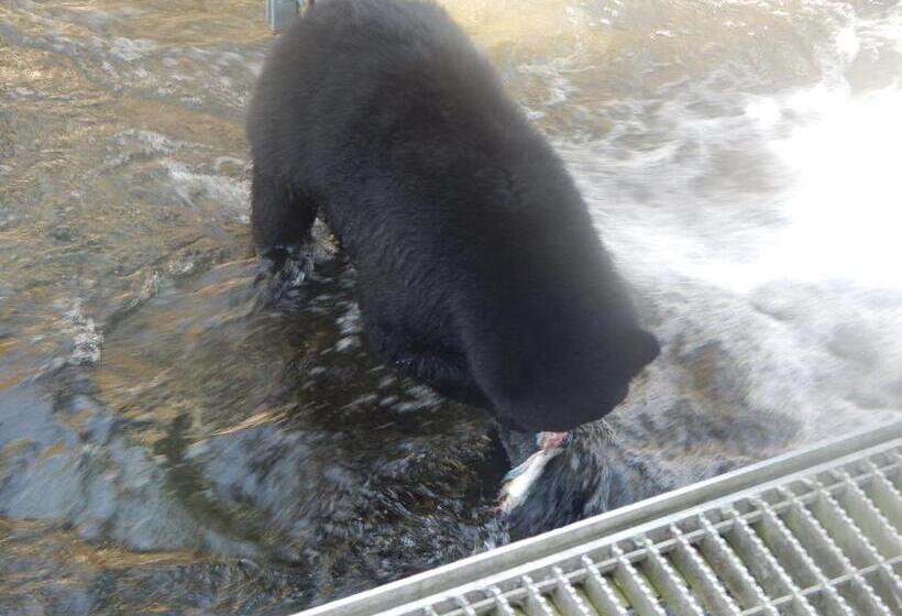 Money Pennies Bed And Breakfast