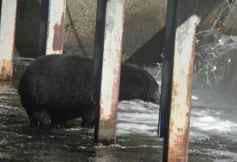 Money Pennies Bed And Breakfast