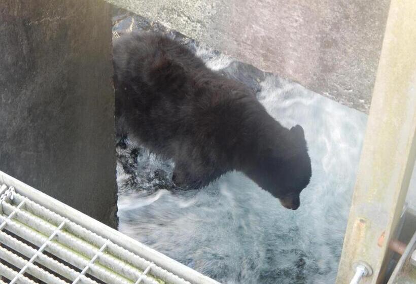 Money Pennies Bed And Breakfast