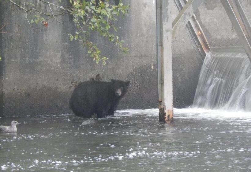 Money Pennies Bed And Breakfast