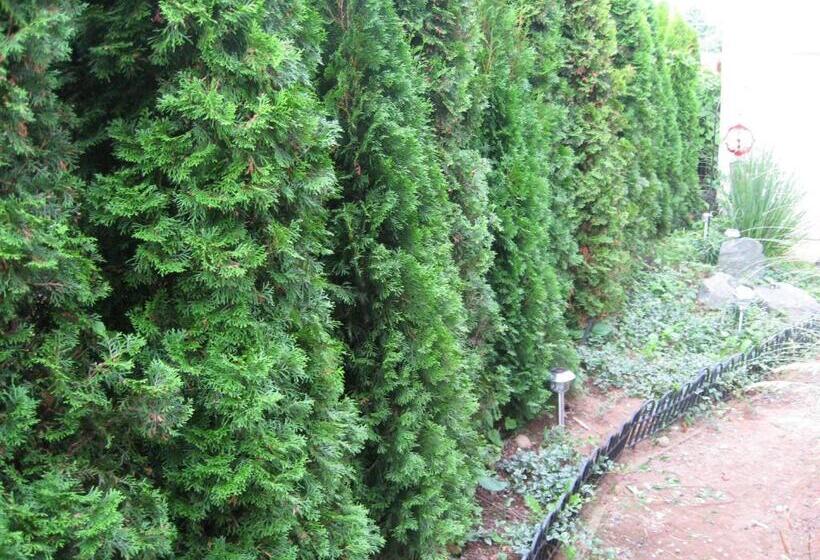 Money Pennies Bed And Breakfast