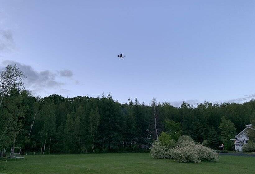 Motel & Chalet Waterloo