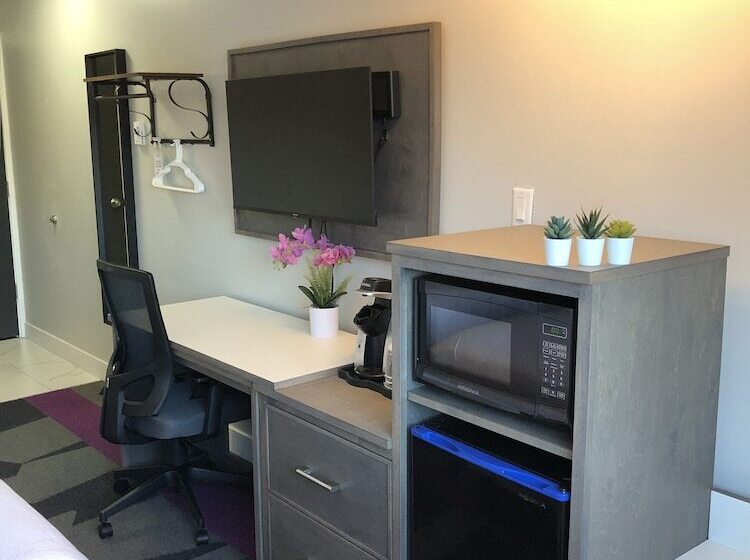 מוטל The Spot At Porpoise Bay