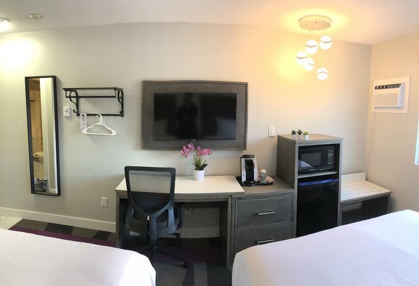 מוטל The Spot At Porpoise Bay