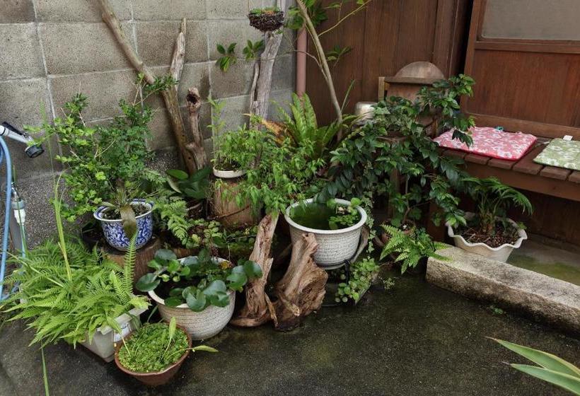 הוסטל Buddha Guest House