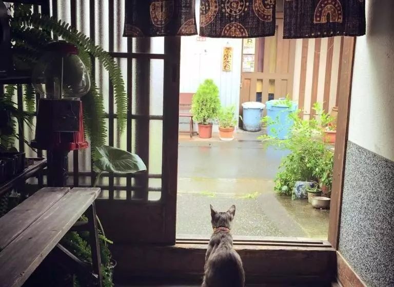 ユースホステル Buddha Guest House
