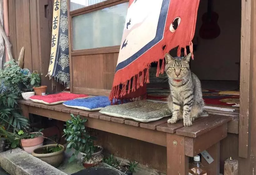 ユースホステル Buddha Guest House