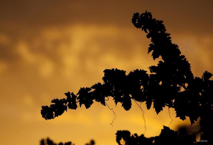 Extrenatura Alojamiento Albergue   Hostel