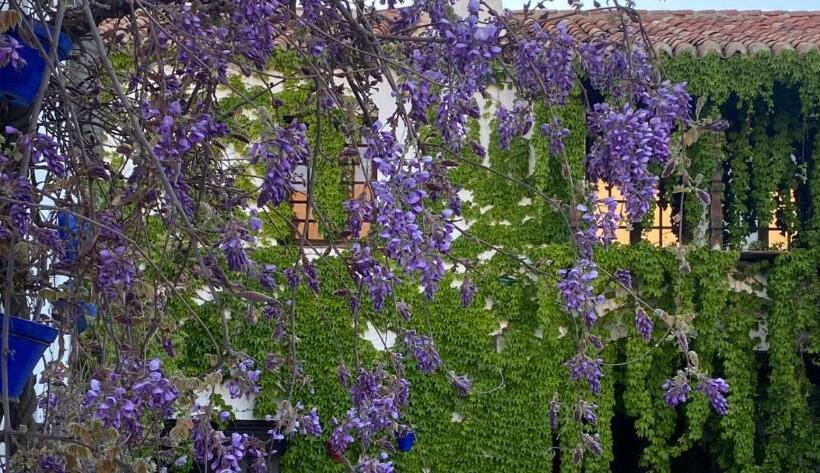 فندق Rural Las Cinco Ranas