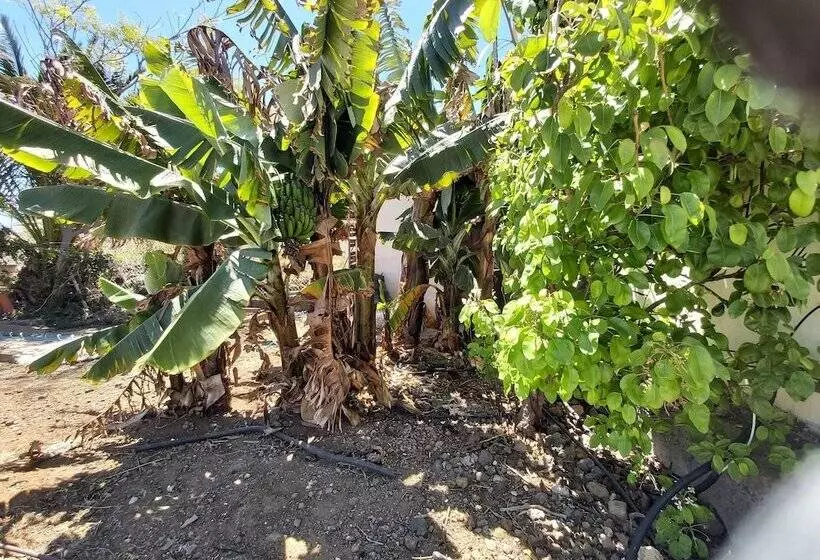 استراحتگاه Finca Paraiso Casa Rural Tenerife