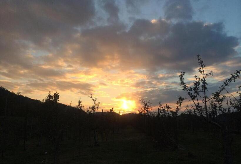 ريوكان Yudanaka Onsen Yamazakiya