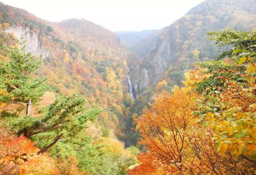ریوکان Yudanaka Onsen Yamazakiya