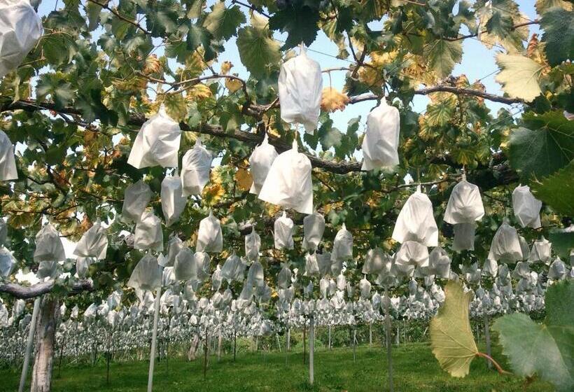 ريوكان Yudanaka Onsen Yamazakiya