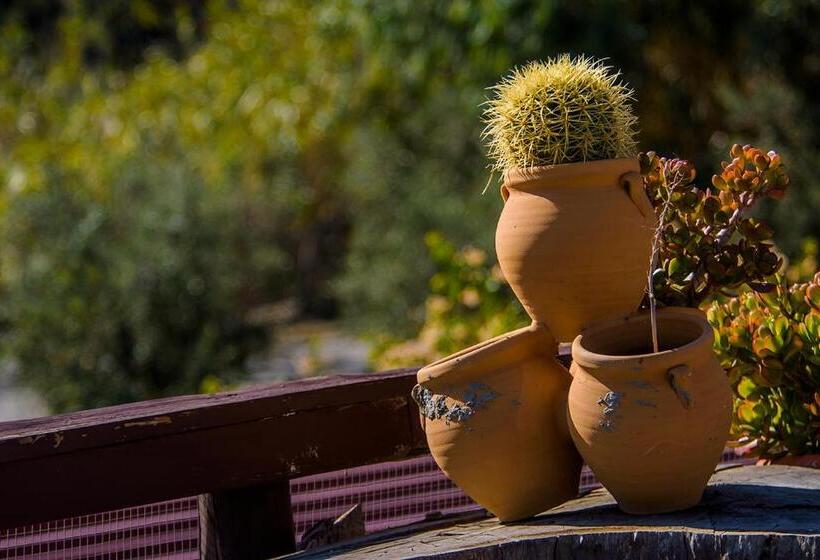 مبيت وإفطار Cortijo 4 Elementos