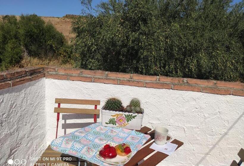 مبيت وإفطار El Lagar Pepe Hotel Staying