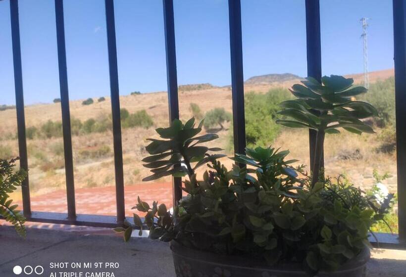 مبيت وإفطار El Lagar Pepe Hotel Staying