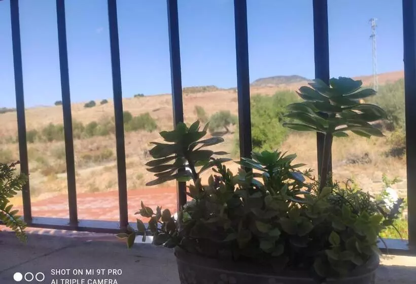 تختخواب و صبحانه El Lagar Pepe Hotel Staying