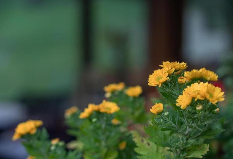 Bed and Breakfast Olagaraia - Adults Only