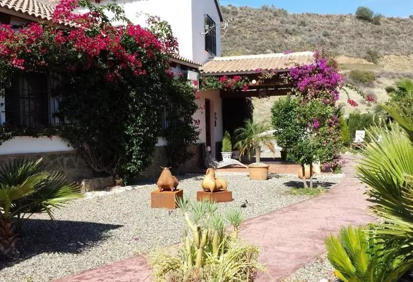 Bed & Breakfast | Guest House Casa Don Carlos
