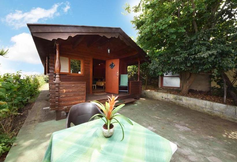 ホテル Casa Canarina