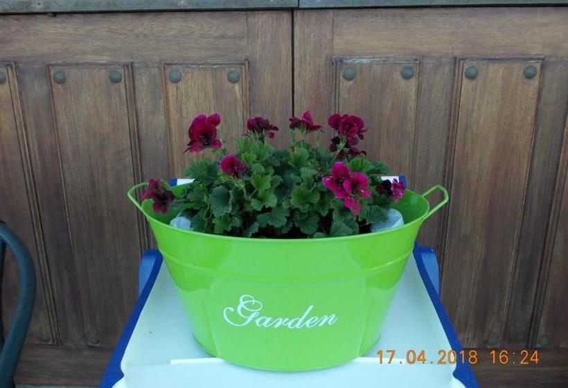 호텔 Casa Rural Miamendi