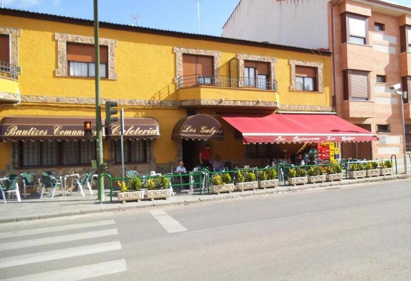 Отель Hostal Los Galgos