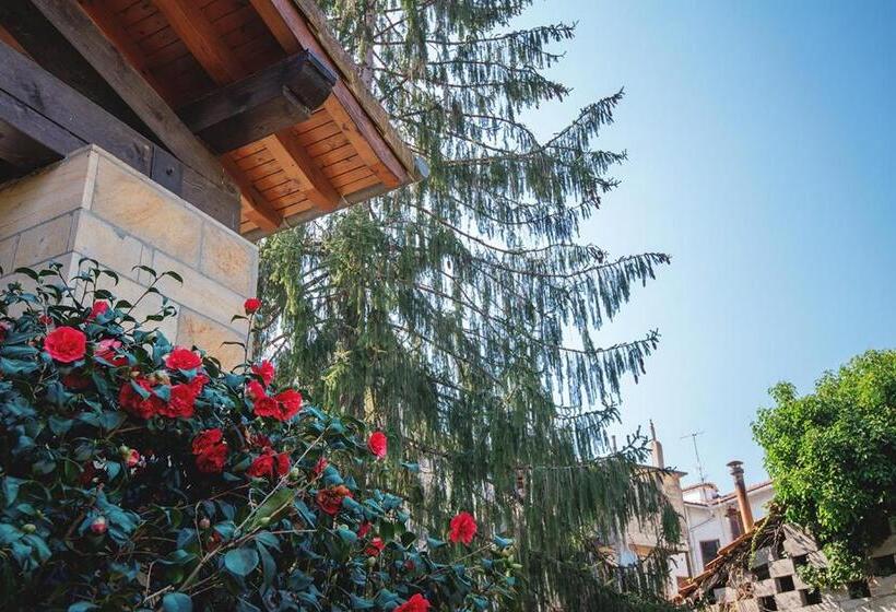 בית מלון כפרי Konbenio