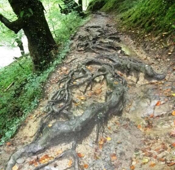 בית מלון כפרי Rural Aribe Irati