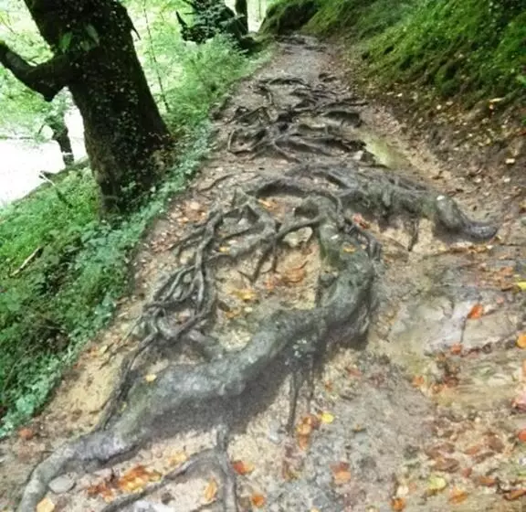 هتل Rural Aribe Irati