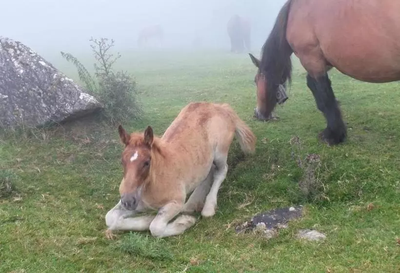 هتل Rural Aribe Irati